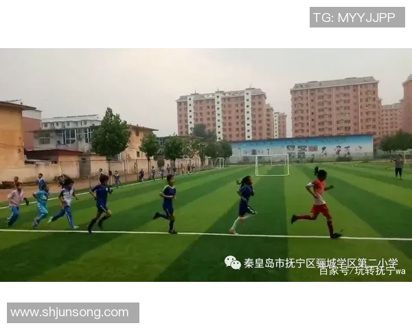 抚宁足球明星阵容揭秘展现本地球员的风采与实力