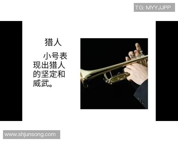 足球明星退役后的音乐之旅与人生新篇章的交响乐