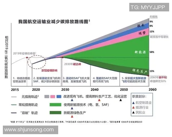 赵篮球明星的崛起之路与未来发展展望分析